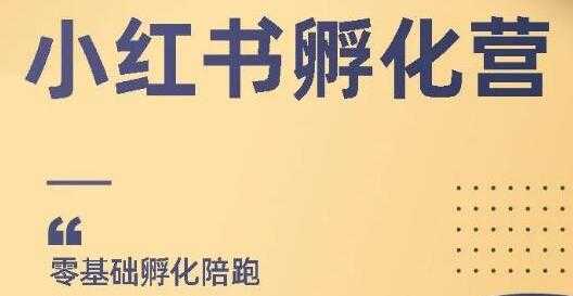 小红书撸金项目，教你如何快速起号获得曝光，做到月躺赚在3000+_中创网