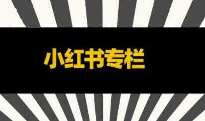 品牌医生《小红书全链营销干货》5个起盘案例，营销策略规划，避坑指南_中创网