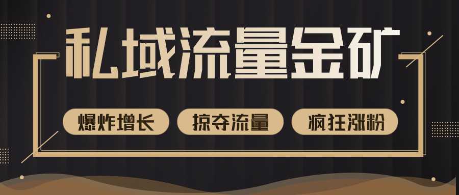 价值2200元私域流量的金矿，循环获取各大媒体精准流量，无限复制网红的精准流量！_中创网