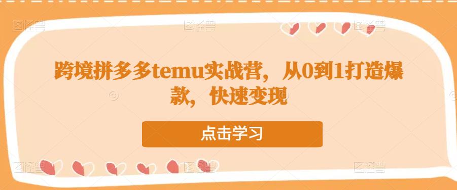 跨境拼多多temu实战营，从0到1打造爆款，快速变现_中创网