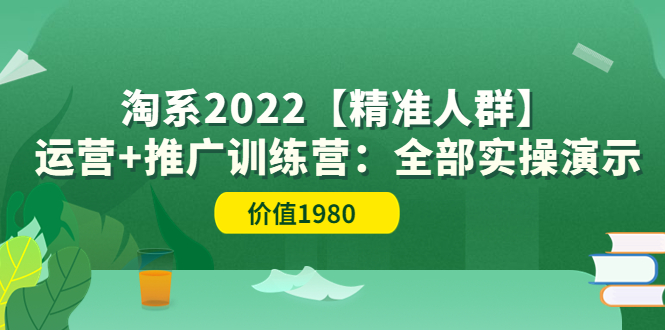 （3516期）淘系2022【精准人群】运营+推广训练营：全部实操演示_中创网