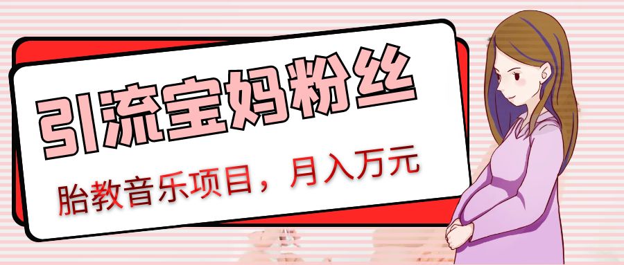 (7739期）胎教音乐项目精准引流宝妈粉丝，执行力强月入不止万元_中创网