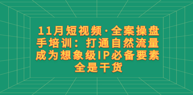 （8212期）11月短视频全案操盘手培训：打通自然流量 成为想象级IP必备要素 全是干货_中创网