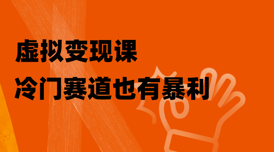 （8249期）虚拟变现课，冷门赛道也有暴利，手把手教你玩转冷门私域_中创网