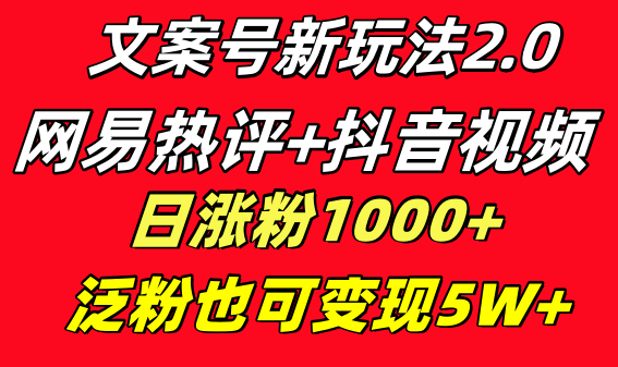 （8512期）文案号新玩法 网易热评+抖音文案 一天涨粉1000+ 多种变现模式 泛粉也可变现_中创网