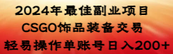 （8976期）2024年最佳副业项目 CSGO饰品装备交易 轻易操作单账号日入200+_中创网