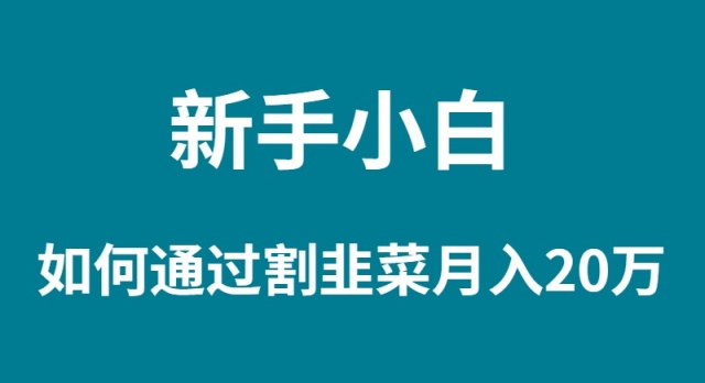 （9372期）新手小白如何通过割韭菜月入20W_中创网