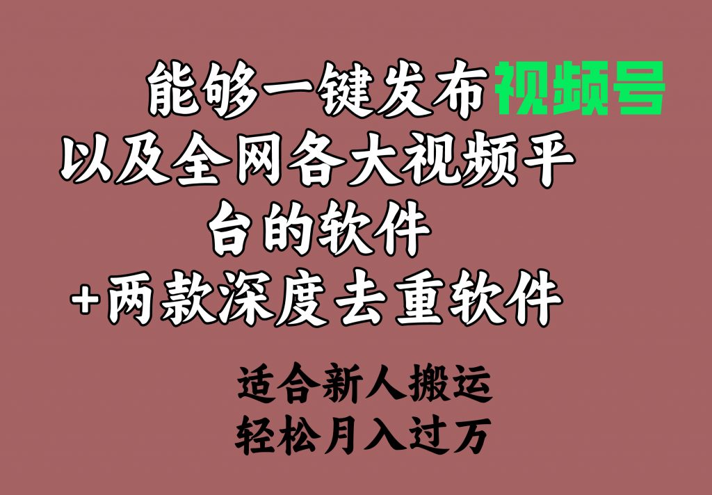 （9384期）能够一键发布视频号以及全网各大视频平台的软件+两款深度去重软件 适合新人搬运_中创网