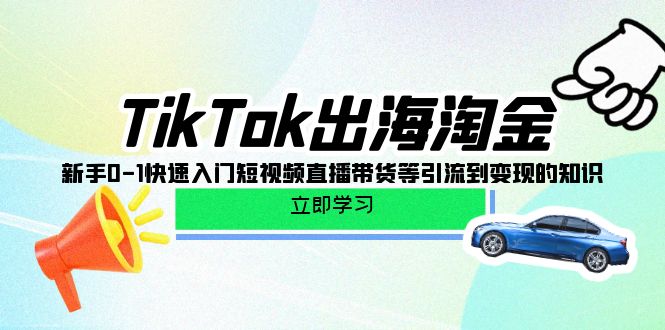 （10121期）TikTok出海淘金，新手0-1快速入门短视频直播带货等引流到变现的知识_中创网