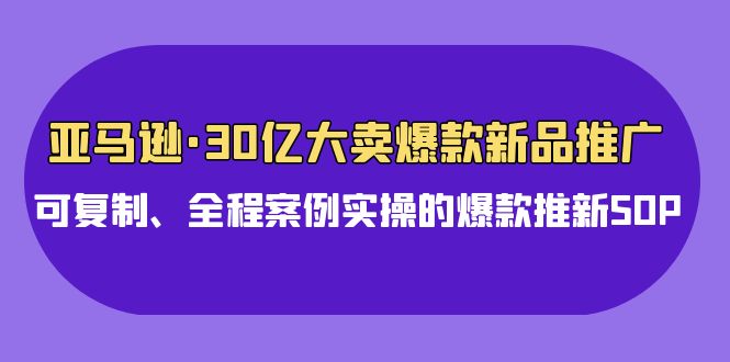 （10030期）亚马逊30亿大卖爆款新品推广，可复制、全程案例实操的爆款推新SOP_中创网