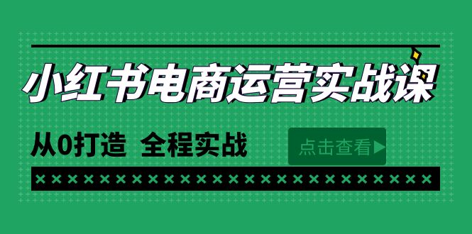 （10032期）最新小红书电商运营实战课，从0打造 全程实战（65节视频课）_中创网