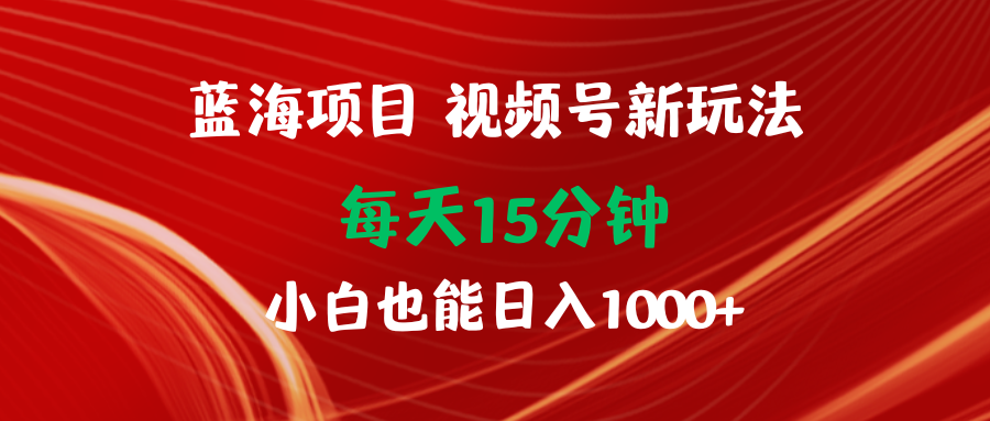 （9893期）蓝海项目视频号新玩法 每天15分钟 小白也能日入1000+_中创网