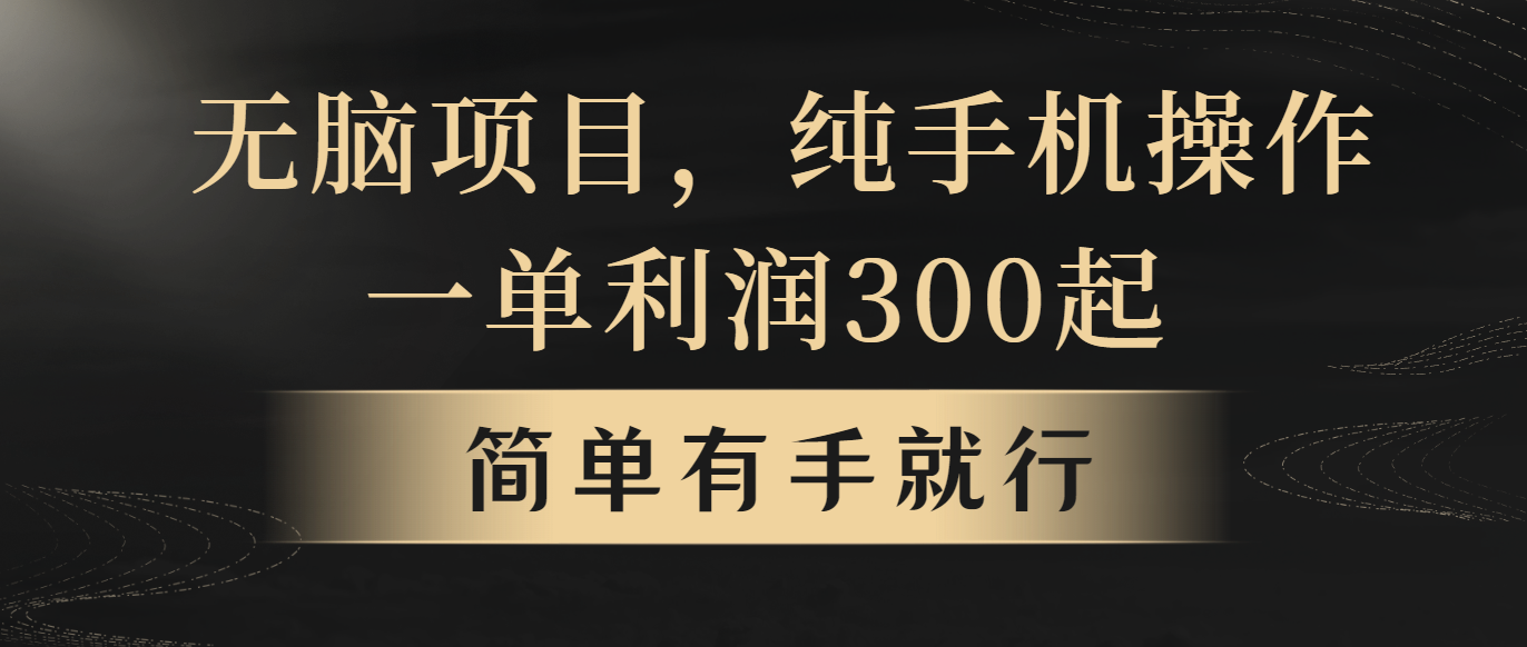 （10802期）无脑项目，一单几百块，轻松月入5w+，看完就能直接操作_中创网