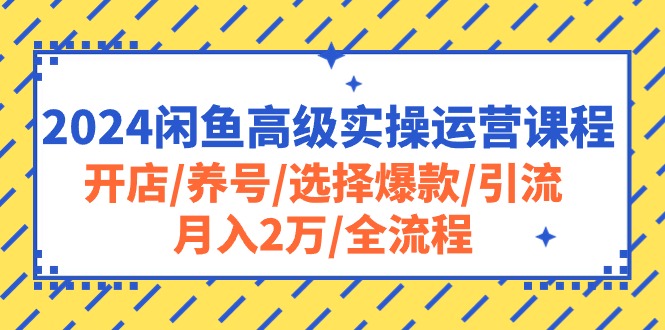 （10814期）2024闲鱼高级实操运营课程：开店/养号/选择爆款/引流/月入2万/全流程_中创网