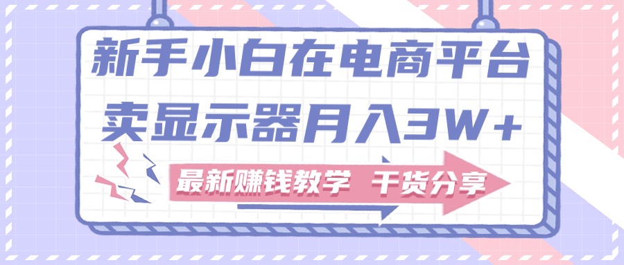 （11159期）新手小白如何做到在电商平台卖显示器月入3W+，最新赚钱教学干货分享_中创网