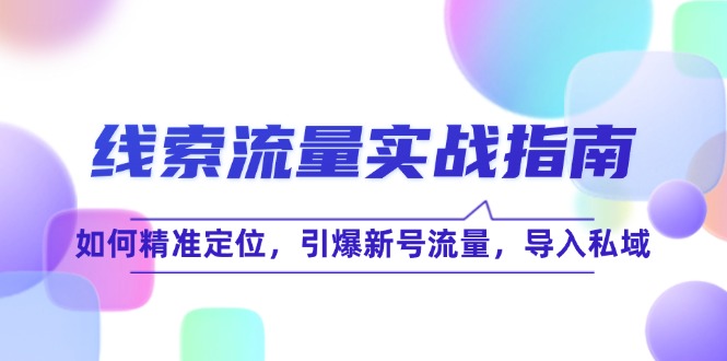 （12382期）线 索 流 量-实战指南：如何精准定位，引爆新号流量，导入私域_中创网