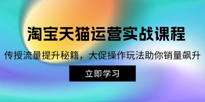 （12959期）淘宝天猫运营实战课程，传授流量提升秘籍，大促操作玩法助你销量飙升_中创网