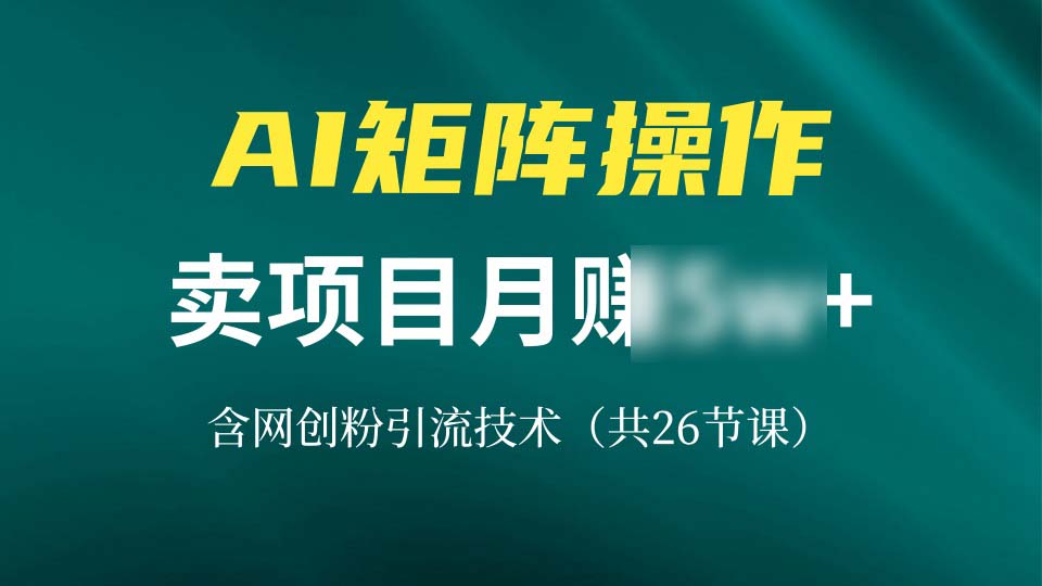 （13335期）网创IP打造课，借助AI卖项目月5个5位数+，含引流技术（共26节课）_中创网