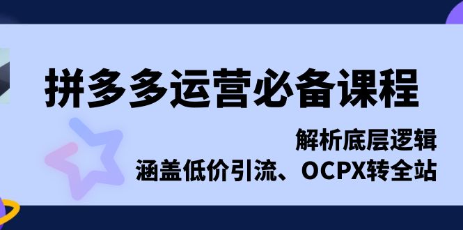 （13700期）拼多多运营必备课程，解析底层逻辑，涵盖低价引流、OCPX转全站_中创网