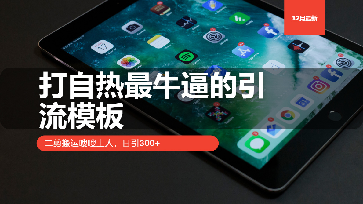 （13654期）打自热最牛逼的引流模板，二剪搬运嗖嗖上人，日引300+_中创网