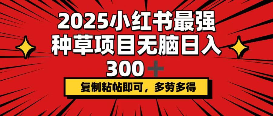 （14375期）2025小红书最强种草项目，无脑日入300+，复制粘帖即可，多劳多得_中创网